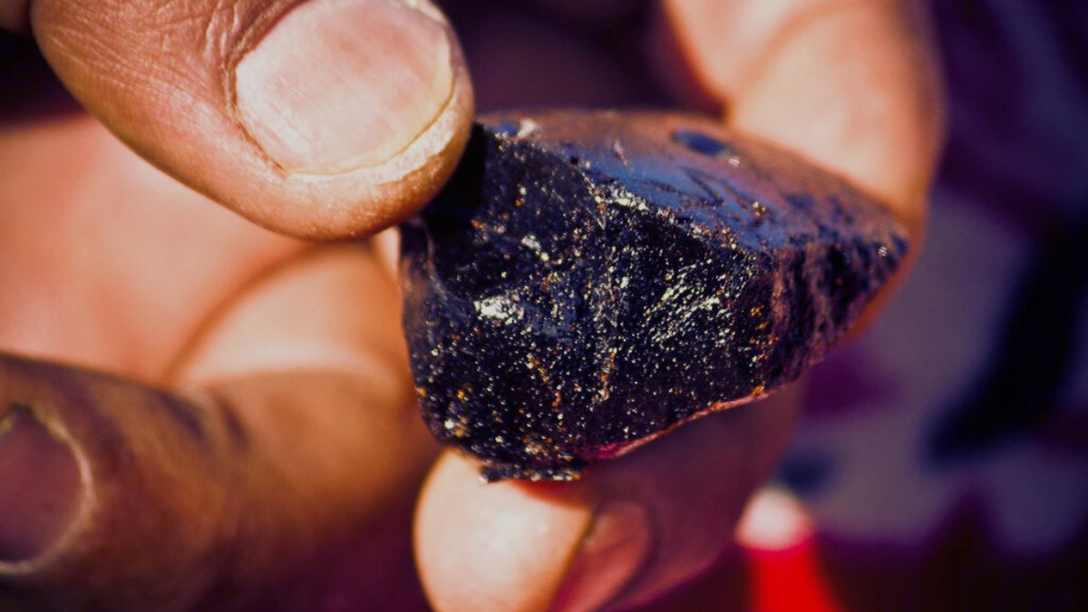 Common myths of Shilajit
