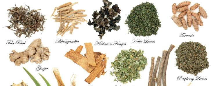 Herbs To Your Diet