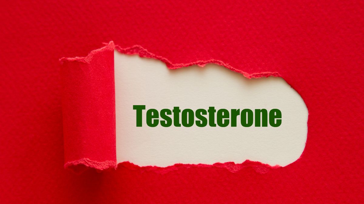 Does Masturbation Decrease Testosterone