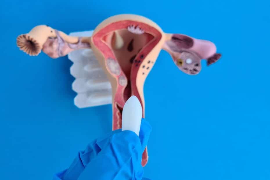 How to insert penis into vagina