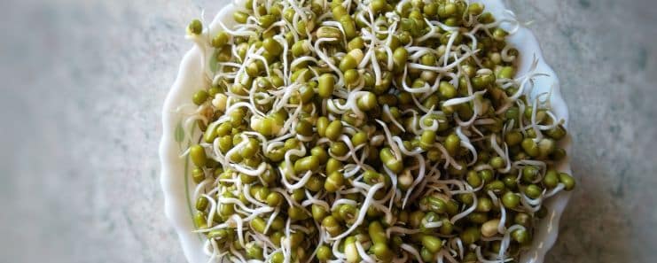 Raw Sprouts