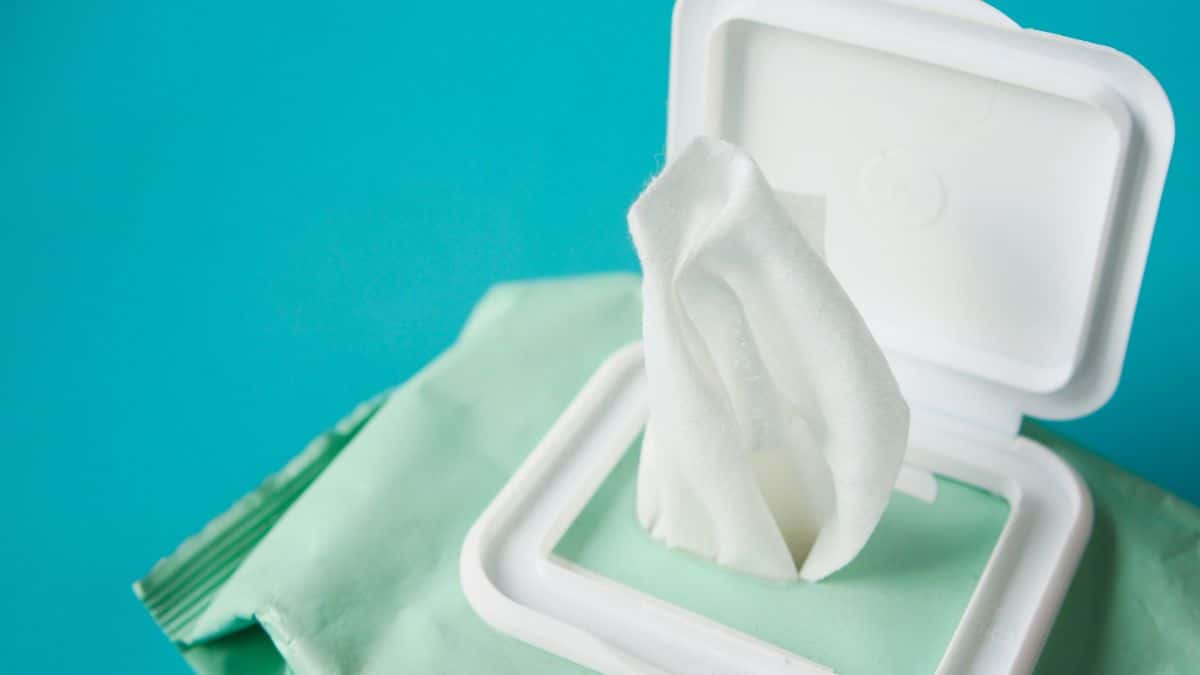 What are pleasure wipes